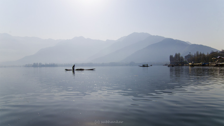 Morning At Dal Lake