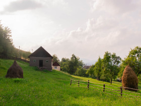 MOLDOVAN CRISTINA TRESTIA, ROMANIA