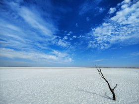 White Rann